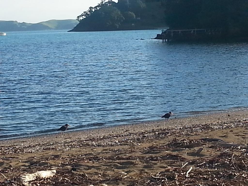 Oamaru Bay Tourist Park Hotel Coromandel Luaran gambar